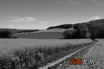 PS制作黑白照方法