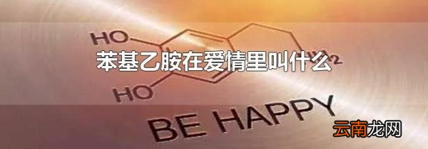 苯基乙胺在爱情里叫什么