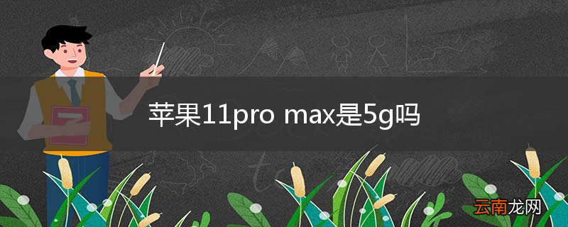 苹果11pro max是5g吗