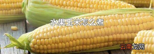水果玉米怎么煮