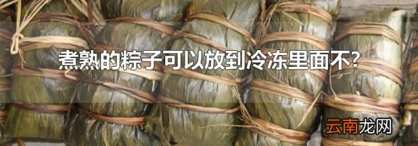 煮熟的粽子可以放到冷冻里面不?