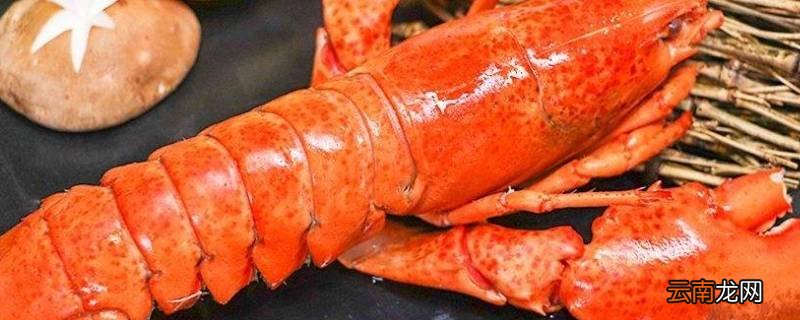 活波龙直接冷冻可以吗