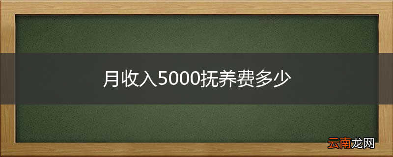 月收入5000抚养费多少