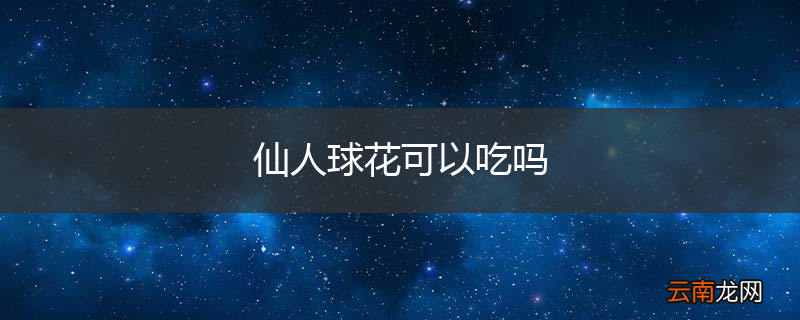 仙人球花可以吃吗
