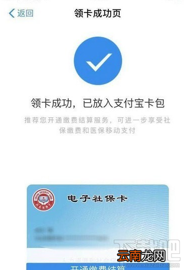 电子社保卡怎么领取？支付宝电子社保卡领取流程一览