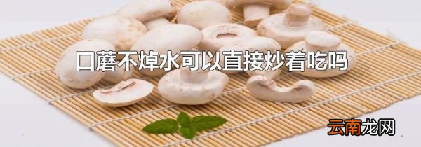 口蘑不焯水可以直接炒着吃吗