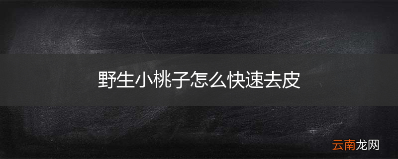 野生小桃子怎么快速去皮