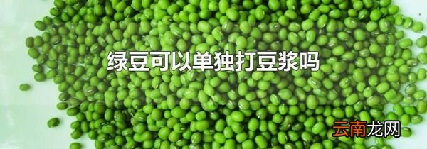 绿豆可以单独打豆浆吗