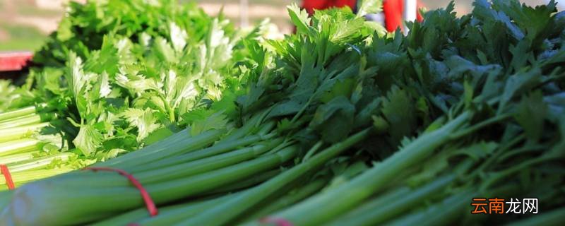 过年都需要准备什么菜