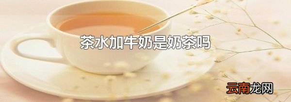 茶水加牛奶是奶茶吗