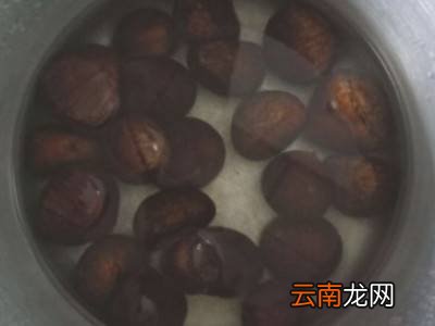 锥栗怎么容易剥壳