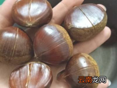 锥栗怎么容易剥壳