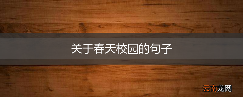 关于春天校园的句子