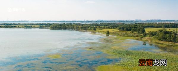 阳澄湖在哪 阳澄湖在什么地方