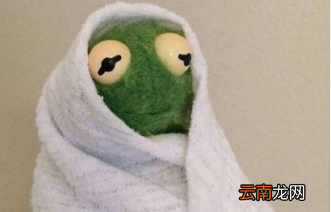 微信朋友圈为什么换青蛙头像