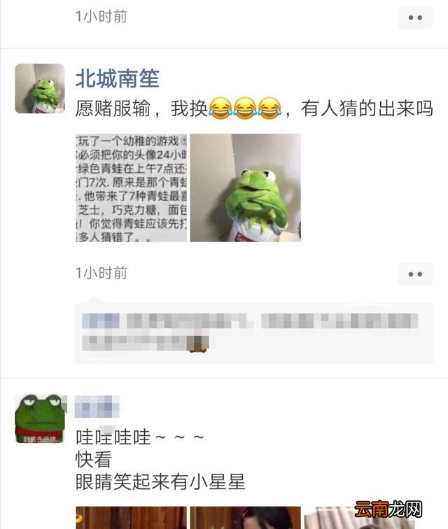 微信朋友圈为什么换青蛙头像