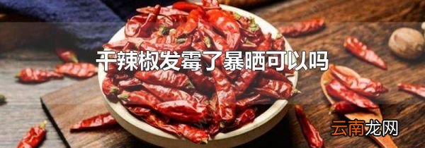 干辣椒发霉了暴晒可以吗