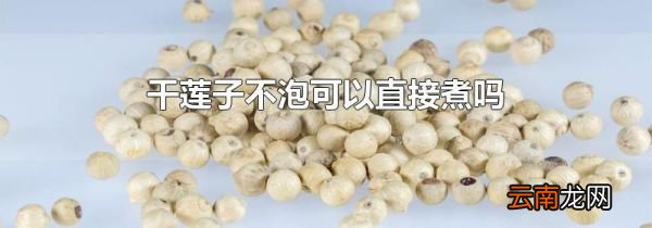 干莲子不泡可以直接煮吗