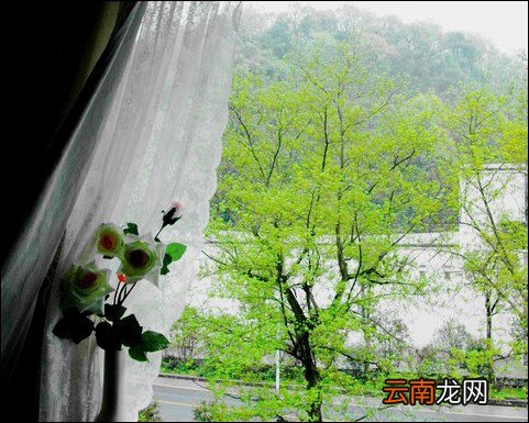 美图秀秀将晴天背景图片转换为下雨背景效果图片具体操作步骤