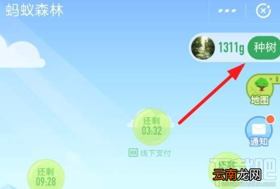 支付宝蚂蚁森林保护地怎么认领