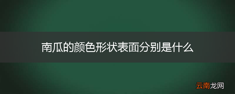 南瓜的颜色形状表面分别是什么