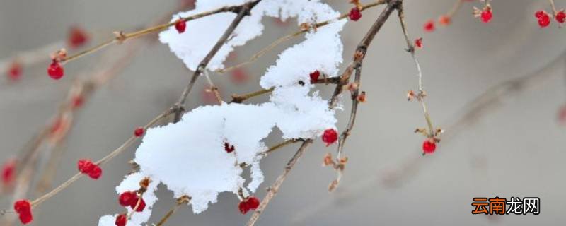 为什么要人工增雪