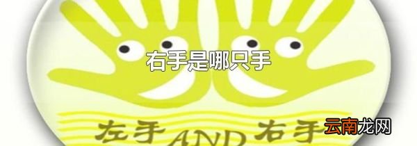 右手是哪只手