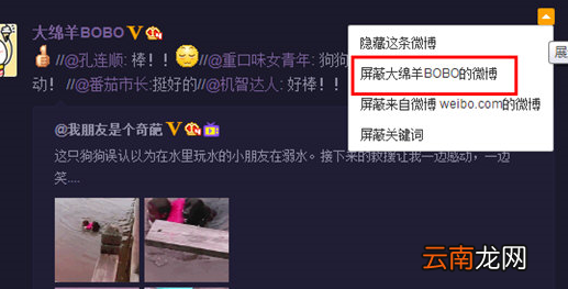 微博中将好友动态屏蔽具体操作步骤