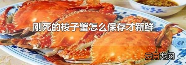 刚死的梭子蟹怎么保存才新鲜