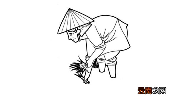 农民插秧简笔画怎么画农民插秧简笔画画法