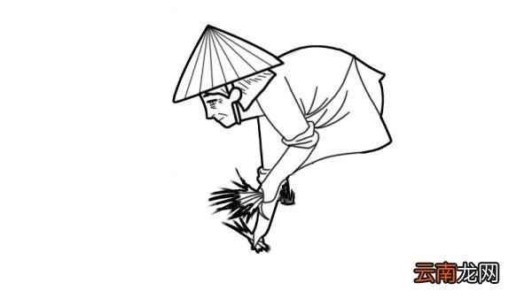 农民插秧简笔画怎么画农民插秧简笔画画法
