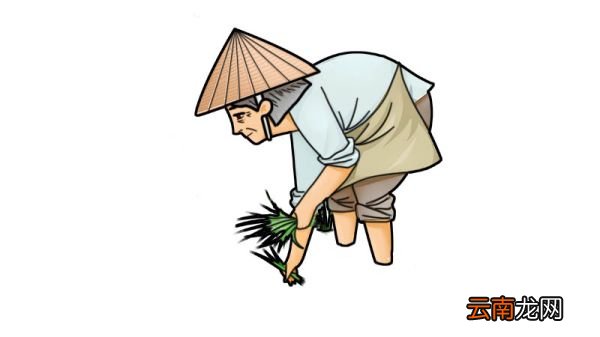 农民插秧简笔画怎么画农民插秧简笔画画法