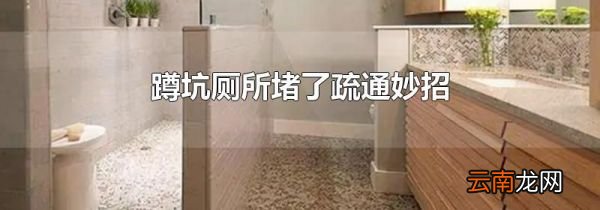 蹲坑厕所堵了疏通妙招