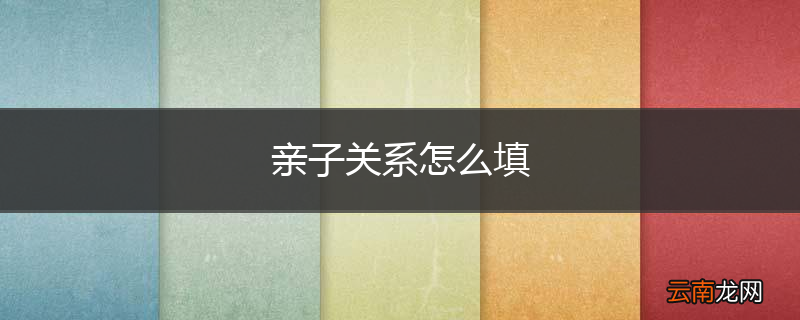 亲子关系怎么填