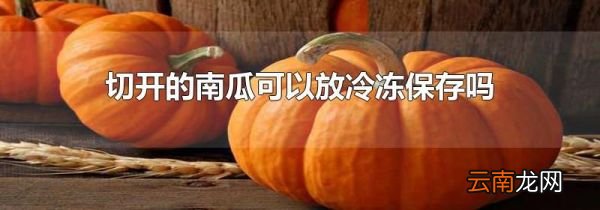切开的南瓜可以放冷冻保存吗