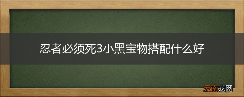 忍者必须死3小黑宝物搭配什么好