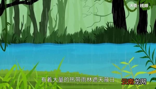 亚马逊河流域经过几个国家 亚马逊河流域流经哪些国家