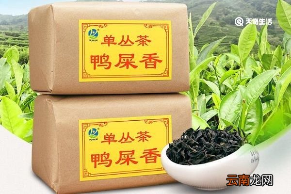 凤凰单丛的功效与作用 凤凰单丛主要有什么功效