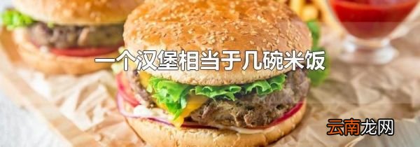 一个汉堡相当于几碗米饭