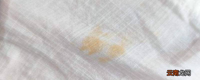 衣服弄到油渍怎么洗掉