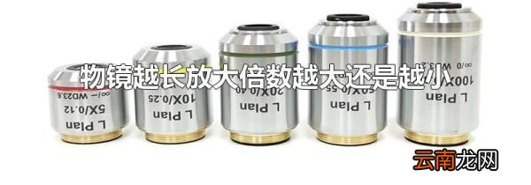 物镜越长放大倍数越大还是越小