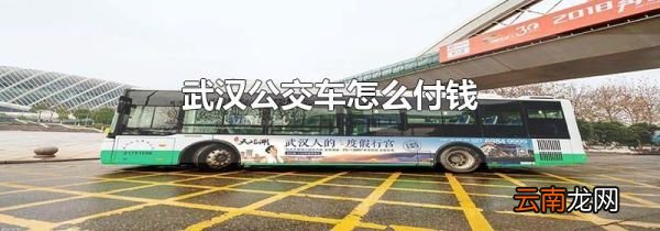 武汉公交车怎么付钱