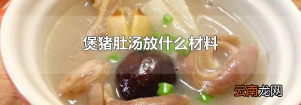 煲猪肚汤放什么材料