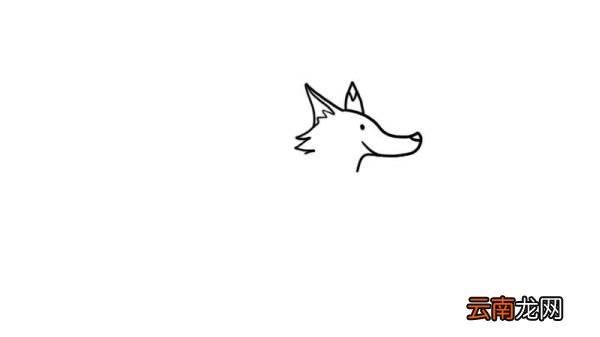 狐狸简笔画