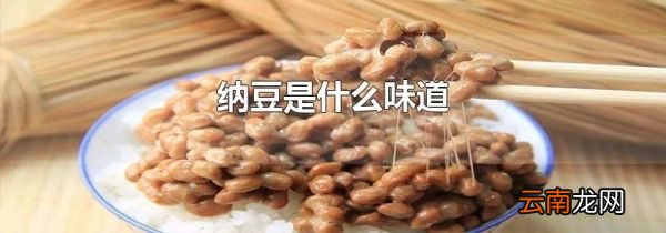 纳豆是什么味道