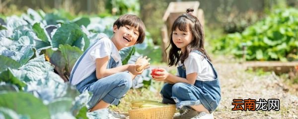 孩子被小伙伴排挤怎么办 如何开导被排挤的孩子