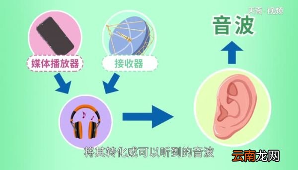 r是左还是右 l是左耳还是r是左耳