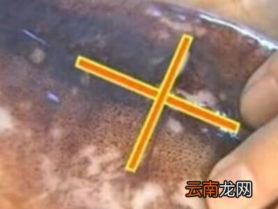 鱿鱼的皮怎么能快速去除