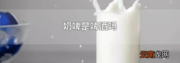 奶啤是啤酒吗
