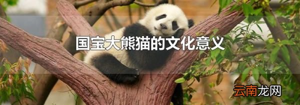 国宝大熊猫的文化意义